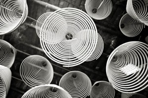 027877d03fa8179faf036f98326e2877