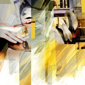 0c45a24a56f61698bfd8e6c013c9016a