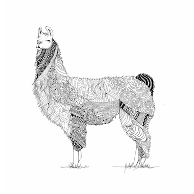 48e3855c6776d54ce985ea522f484296