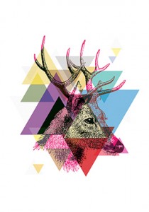 f48ec4088ae1c8faabd157030d03e980